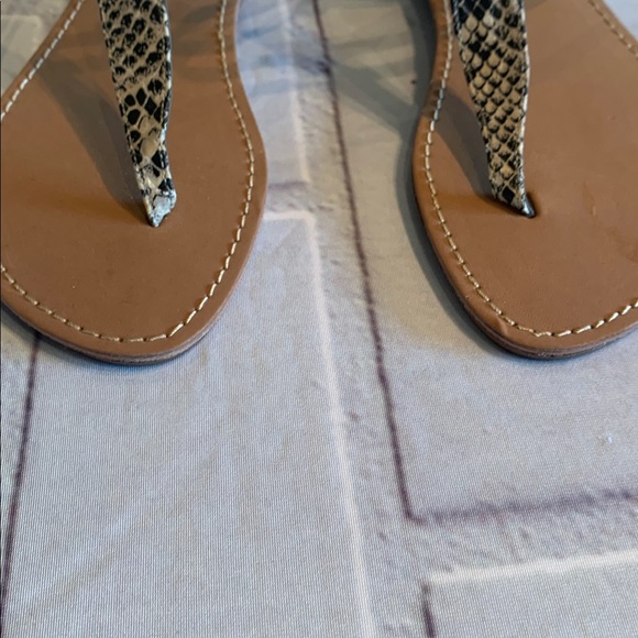 🎉NEW LISTING!🎉LOFT Snakeskin Print Sandals - Picture 3 of 10